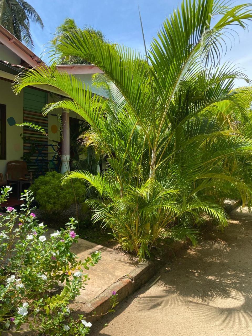 Elena Garden Resort&Restaurant Trincomalee Exterior foto
