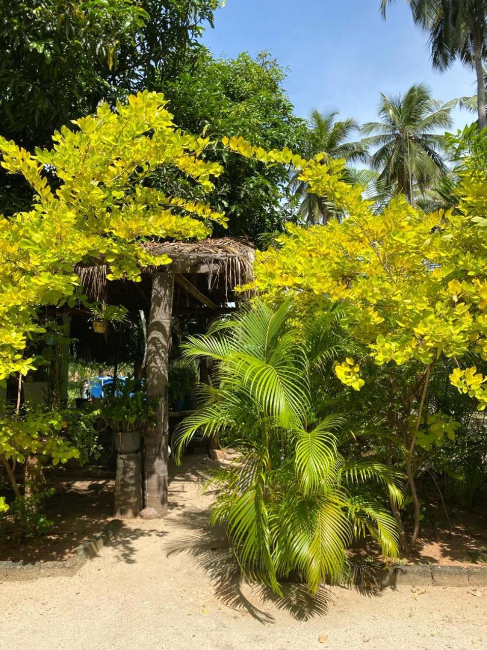 Elena Garden Resort&Restaurant Trincomalee Exterior foto